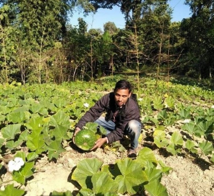 Son of Barak Valley Bappan Das with his Meticulous dedication, used herbal products to cure helminth infection