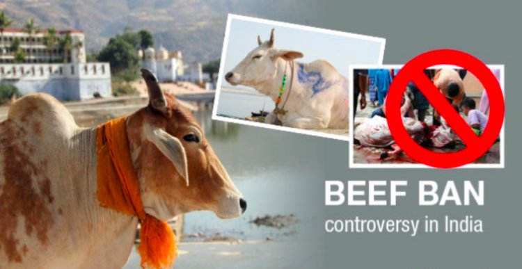 Hindu Nationalists Unhappy Over Partial Cow Protection Bill, Demand for Ban on Beef in Assam