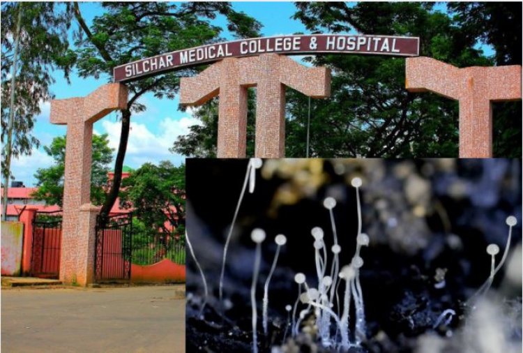 Suspected Case of First Black Fungus Detected in SMCH: Investigation on the way