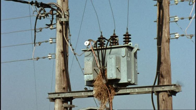 Electric Transformer at Charbazar, Karimganj Un-fenced: Localities appeals to install metallic fencing around it.