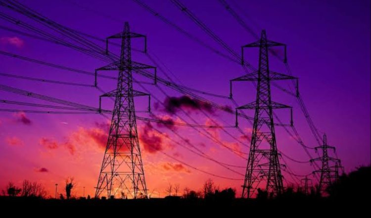 All Assam Electricity Consumers Association Opposes Electricity Reforms: Launches Statewide Campaign