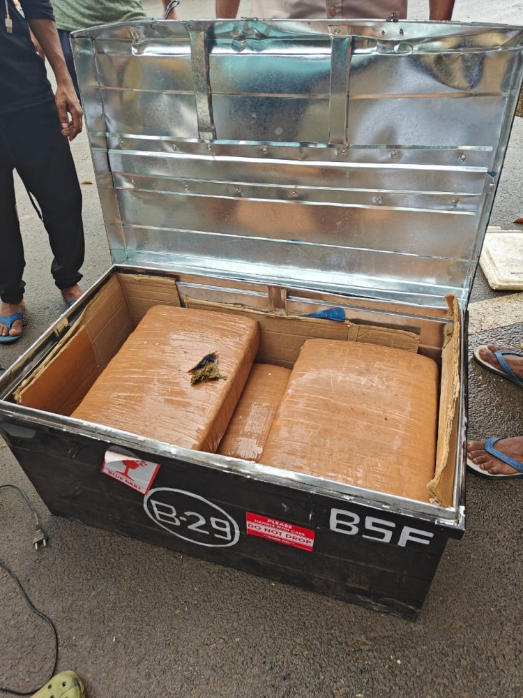Major Drug Bust at Churaibari Check Post: 51 Kgs of Ganja Seized, Two Suspects Arrested