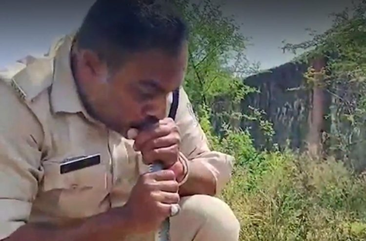 MP's Cop Attempts CPR on a Snake, gives Kiss of Life who Drank Pesticide-Laced Water