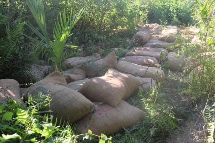 Operation uncovers illegal 500 bags weighing approximately 20,000 kgs of Burmese Supari at Assam-Mizoram Border