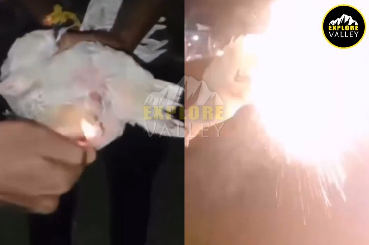Shocking act of cruelty in Assam - Group of youth bursts firecracker into alive chicken's anus