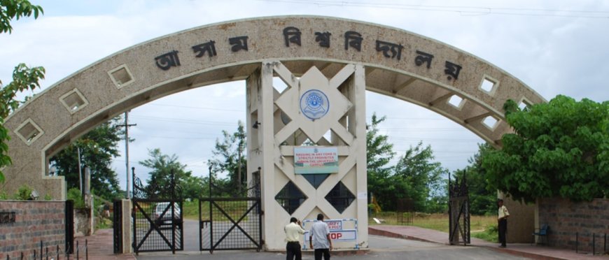 Assam University's Department of Business Administration (DBA) invites applications for MBA program 2024-25: No separate written test; admission based on National-Level Exam scores