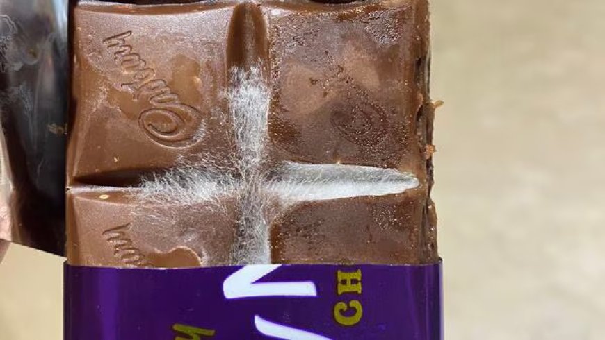 Social media erupts as fungus found on Cadbury Dairy Milk chocolate bar