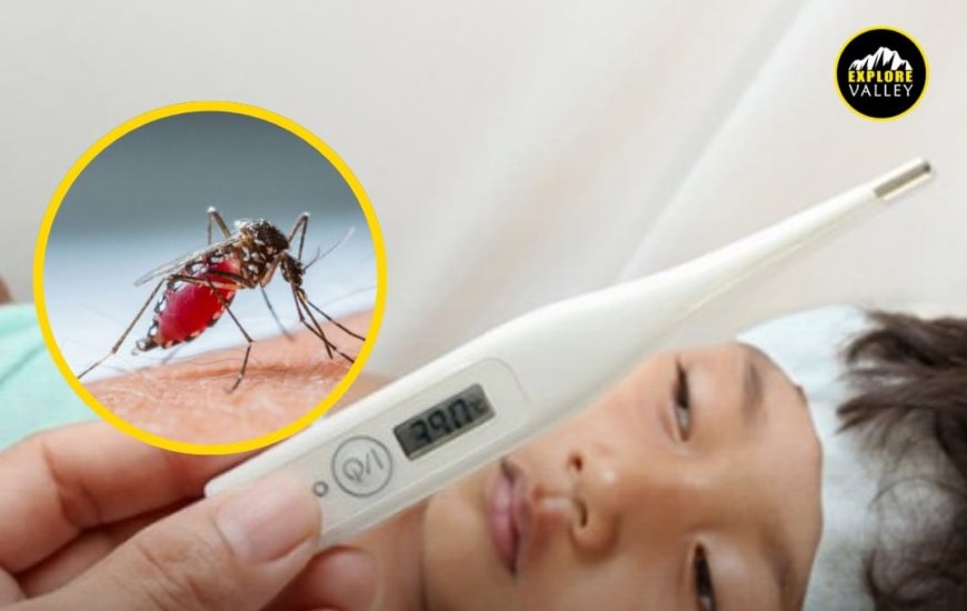 Big breaking: Assam surpasses 100 dengue cases, health ministry alerts