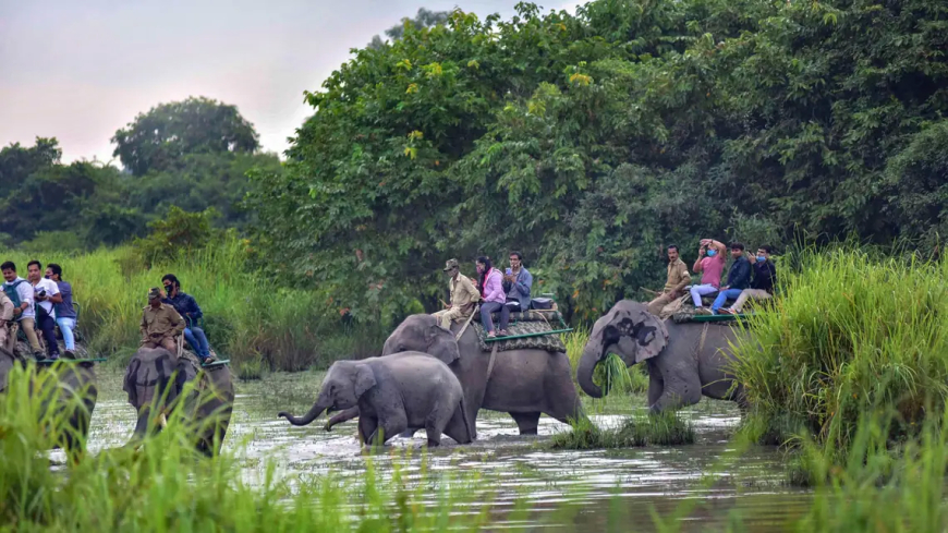 Kaziranga National Park generates historic ₹8.8 crore revenue in 50-years