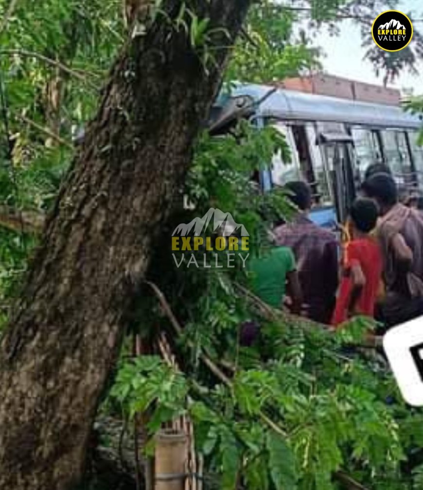 Passenger bus crashes at tree at Hailakandi's Monachera after losing control, 20 injured