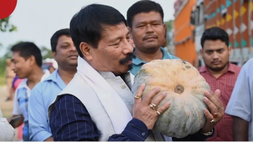 Assam farmers achieve records with pumpkin sales worth Rs 5.24 crore in Bokakhat