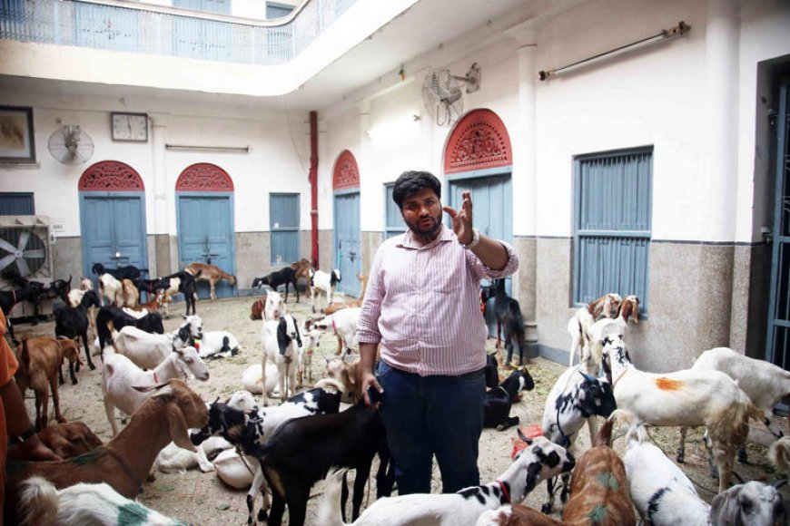 Jains in Old Delhi dressed up as muslims, rescue 124 goats from Bakrid