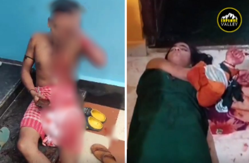 Wife brutally attacks husband at Silchar’s Ashram Road