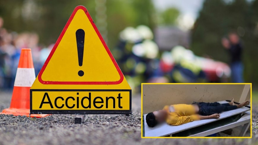 Tragic road accident in Udharbond claims one life, two injured