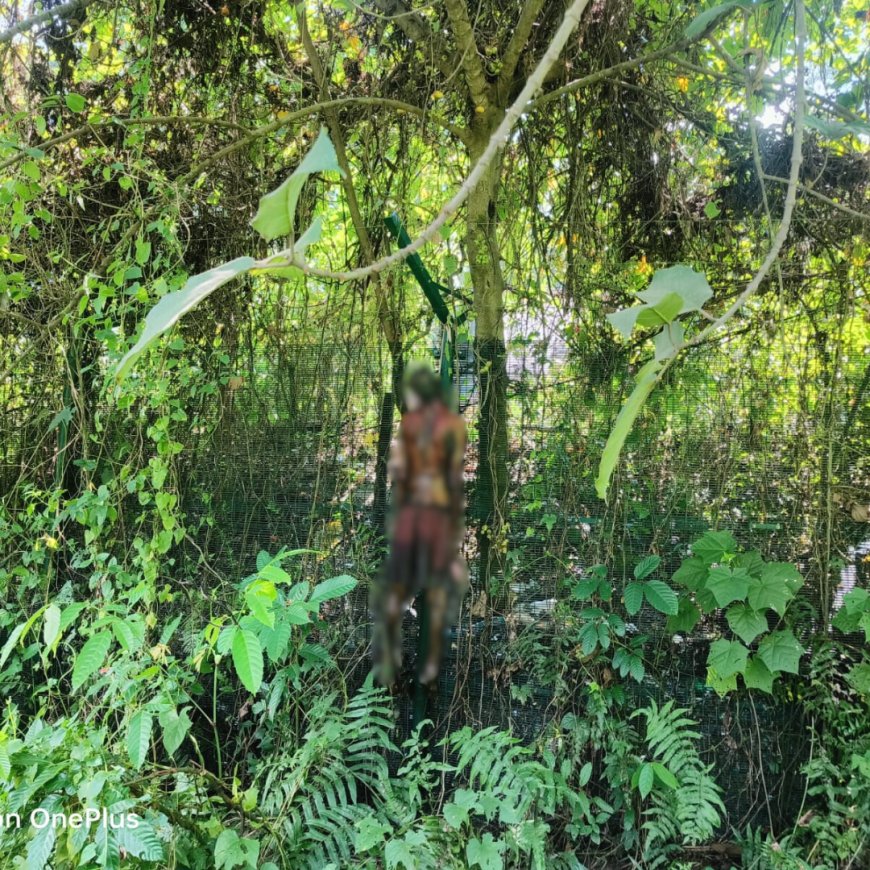 Decomposed body was found hanging from a tree in Silchar's Srikona.